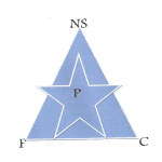 New Star